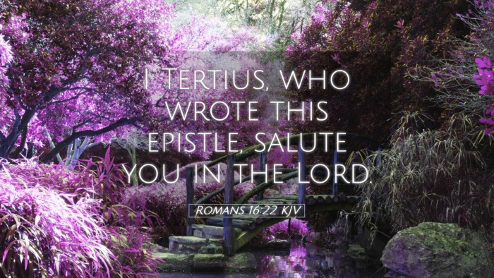 Picture 05 - Romans 16:22 KJV Desktop Wallpaper - I Tertius, who wrote this epistle, salute you in - Desktop Bible Verse Wallpaper