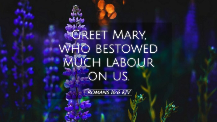 Picture 05 - Romans 16:6 KJV Desktop Wallpaper - Greet Mary, who bestowed much labour on - Desktop Bible Verse Wallpaper