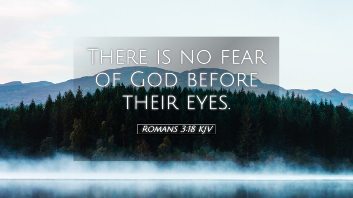 Picture 05 - Romans 3:18 KJV Desktop Wallpaper - There is no fear of God before their - Desktop Bible Verse Wallpaper
