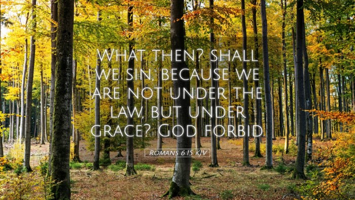Picture 05 - Romans 6:15 KJV Desktop Wallpaper - What then? shall we sin, because we are not under - Desktop Bible Verse Wallpaper
