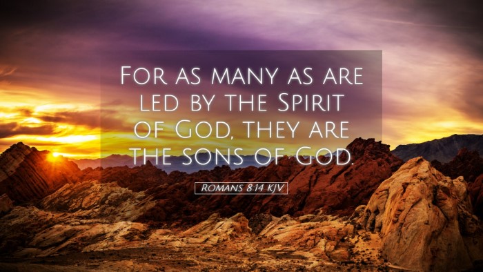 Picture 05 - Romans 8:14 KJV Desktop Wallpaper - For as many as are led by the Spirit of God, they - Desktop Bible Verse Wallpaper