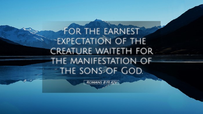 Picture 05 - Romans 8:19 KJV Desktop Wallpaper - For the earnest expectation of the creature - Desktop Bible Verse Wallpaper