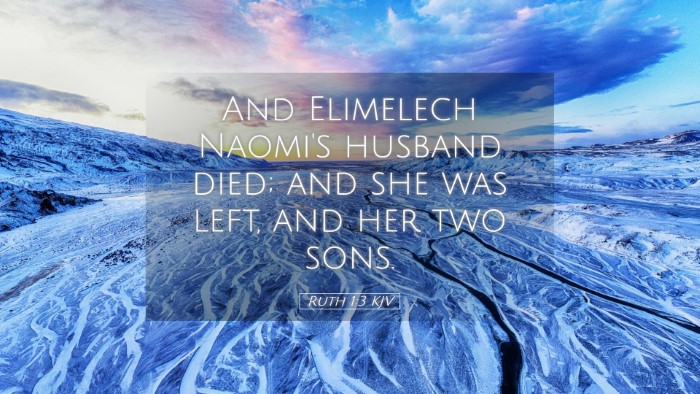 Picture 05 - Ruth 1:3 KJV Desktop Wallpaper - And Elimelech Naomi's husband died; and she was - Desktop Bible Verse Wallpaper