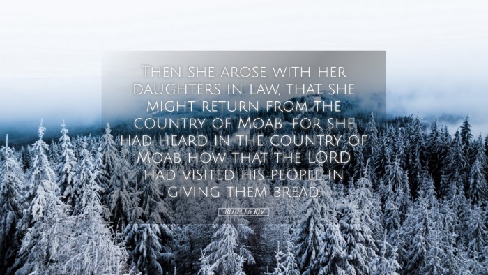 Picture 05 - Ruth 1:6 KJV Desktop Wallpaper - Then she arose with her daughters in law, that - Desktop Bible Verse Wallpaper