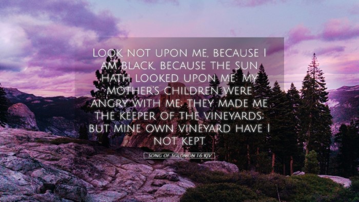 Picture 05 - Song of Solomon 1:6 KJV Desktop Wallpaper - Look not upon me, because I am black, because the - Desktop Bible Verse Wallpaper