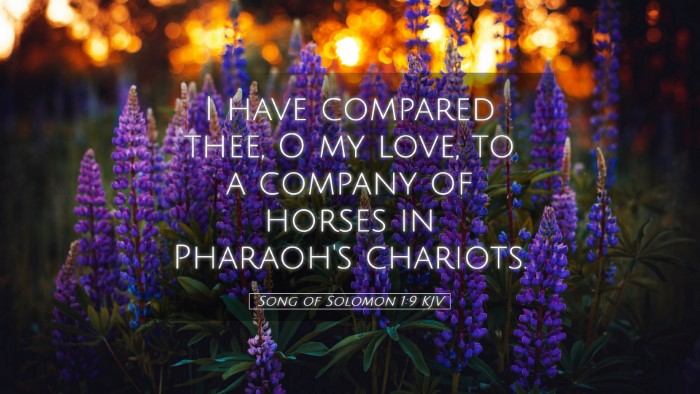 Picture 05 - Song of Solomon 1:9 KJV Desktop Wallpaper - I have compared thee, O my love, to a company of - Desktop Bible Verse Wallpaper
