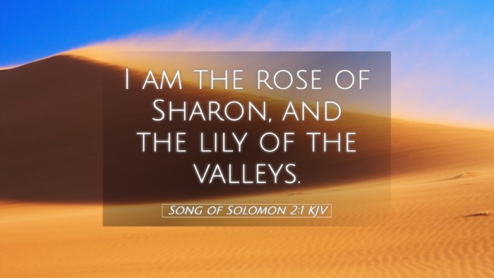 Picture 05 - Song of Solomon 2:1 KJV Desktop Wallpaper - I am the rose of Sharon, and the lily of the - Desktop Bible Verse Wallpaper