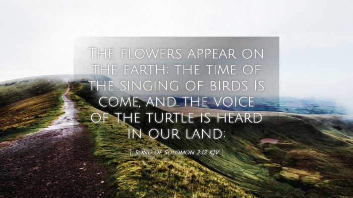 Picture 05 - Song of Solomon 2:12 KJV Desktop Wallpaper - The flowers appear on the earth; the time of the - Desktop Bible Verse Wallpaper