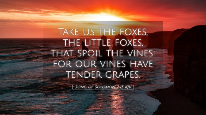 Picture 05 - Song of Solomon 2:15 KJV Desktop Wallpaper - Take us the foxes, the little foxes, that spoil - Desktop Bible Verse Wallpaper