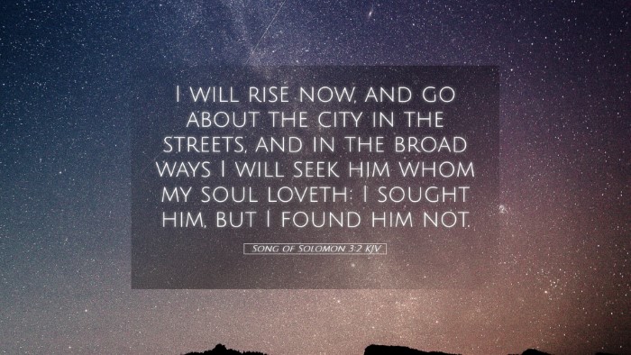 Picture 05 - Song of Solomon 3:2 KJV Desktop Wallpaper - I will rise now, and go about the city in the - Desktop Bible Verse Wallpaper
