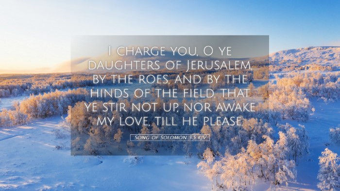 Picture 05 - Song of Solomon 3:5 KJV Desktop Wallpaper - I charge you, O ye daughters of Jerusalem, by the - Desktop Bible Verse Wallpaper