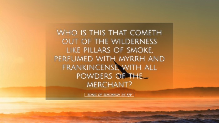 Picture 05 - Song of Solomon 3:6 KJV Desktop Wallpaper - Who is this that cometh out of the wilderness - Desktop Bible Verse Wallpaper