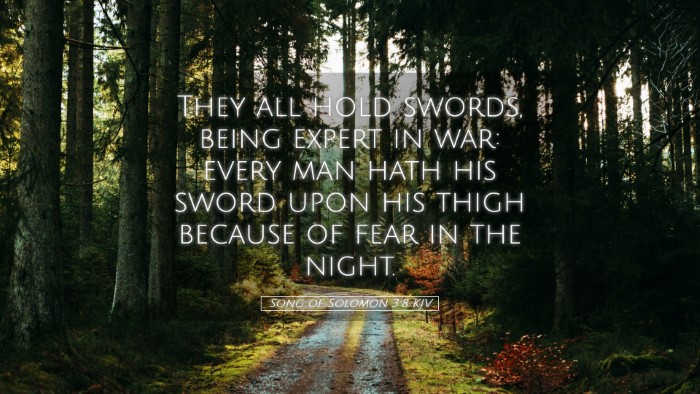 Picture 05 - Song of Solomon 3:8 KJV Desktop Wallpaper - They all hold swords, being expert in war: every - Desktop Bible Verse Wallpaper
