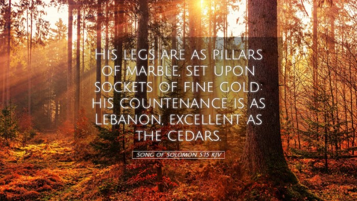 Picture 05 - Song of Solomon 5:15 KJV Desktop Wallpaper - His legs are as pillars of marble, set upon - Desktop Bible Verse Wallpaper