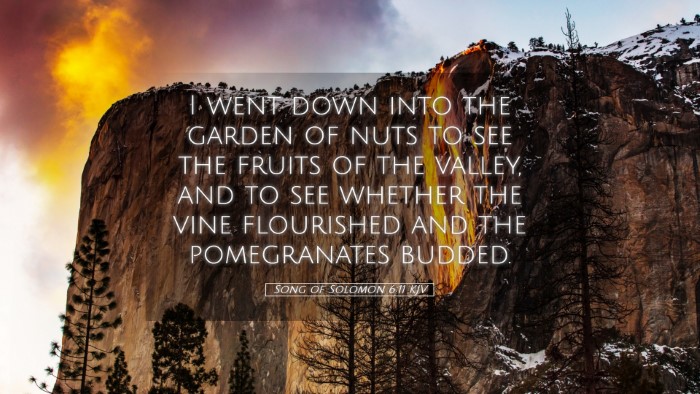 Picture 05 - Song of Solomon 6:11 KJV Desktop Wallpaper - I went down into the garden of nuts to see the - Desktop Bible Verse Wallpaper