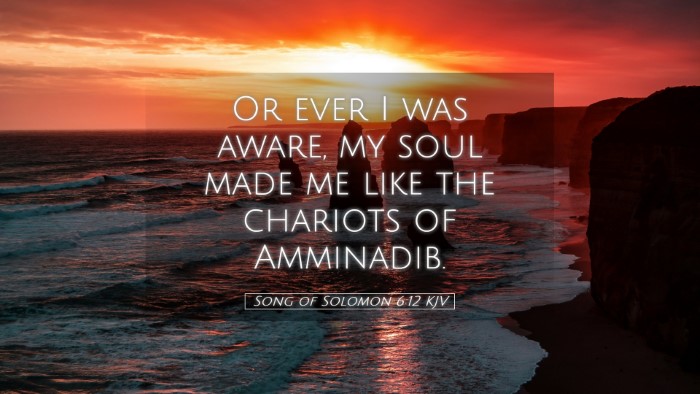 Picture 05 - Song of Solomon 6:12 KJV Desktop Wallpaper - Or ever I was aware, my soul made me like the - Desktop Bible Verse Wallpaper