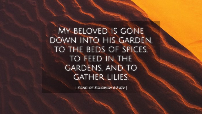Picture 05 - Song of Solomon 6:2 KJV Desktop Wallpaper - My beloved is gone down into his garden, to the - Desktop Bible Verse Wallpaper