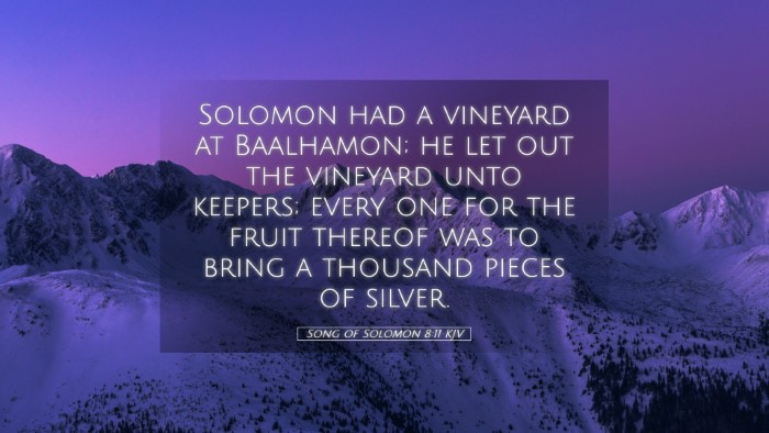 Picture 05 - Song of Solomon 8:11 KJV Desktop Wallpaper - Solomon had a vineyard at Baalhamon; he let out - Desktop Bible Verse Wallpaper