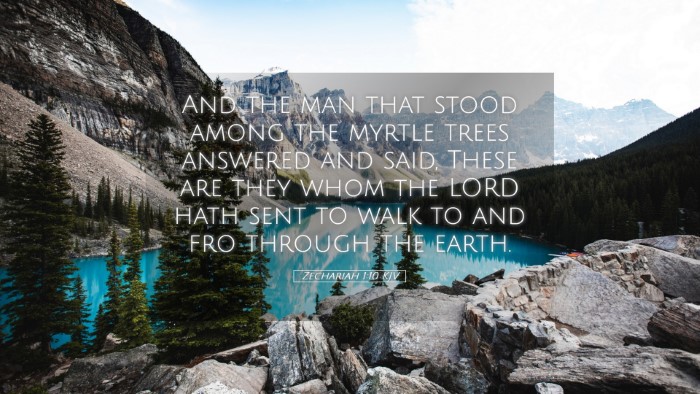 Picture 05 - Zechariah 1:10 KJV Desktop Wallpaper - And the man that stood among the myrtle trees - Desktop Bible Verse Wallpaper