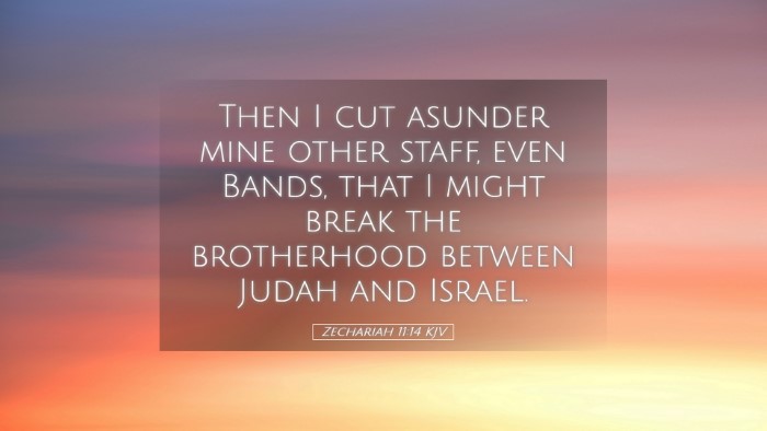 Picture 05 - Zechariah 11:14 KJV Desktop Wallpaper - Then I cut asunder mine other staff, even Bands, - Desktop Bible Verse Wallpaper