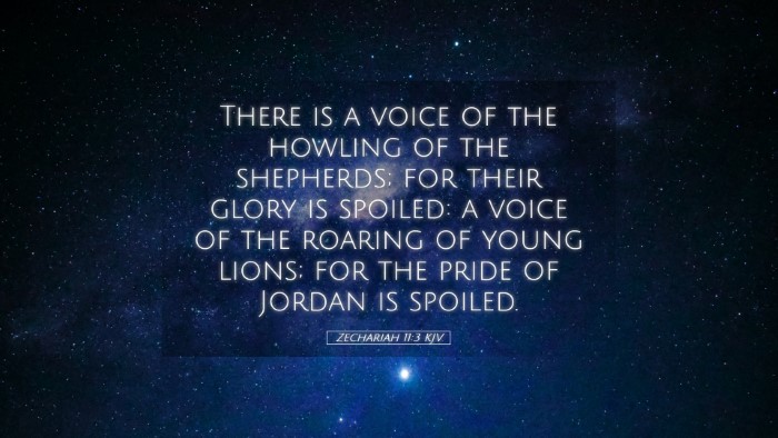 Picture 05 - Zechariah 11:3 KJV Desktop Wallpaper - There is a voice of the howling of the shepherds; - Desktop Bible Verse Wallpaper