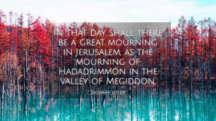 Picture 05 - Zechariah 12:11 KJV Desktop Wallpaper - In that day shall there be a great mourning in - Desktop Bible Verse Wallpaper