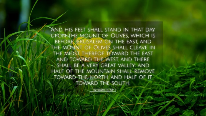 Picture 05 - Zechariah 14:4 KJV Desktop Wallpaper - And his feet shall stand in that day upon the - Desktop Bible Verse Wallpaper