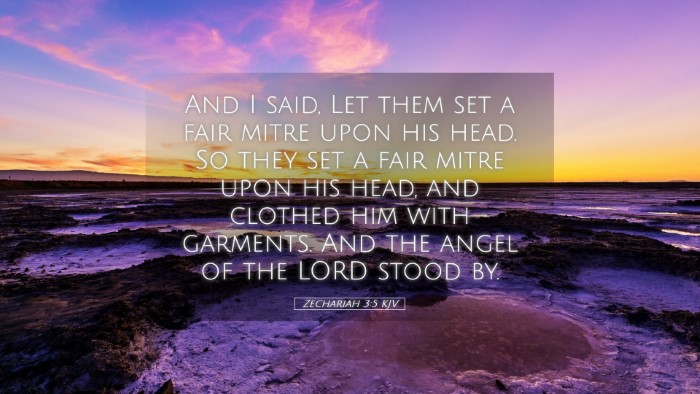 Picture 05 - Zechariah 3:5 KJV Desktop Wallpaper - And I said, Let them set a fair mitre upon his - Desktop Bible Verse Wallpaper