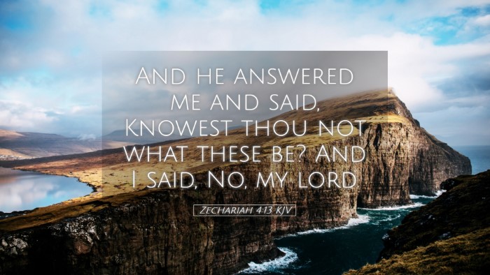 Picture 05 - Zechariah 4:13 KJV Desktop Wallpaper - And he answered me and said, Knowest thou not - Desktop Bible Verse Wallpaper