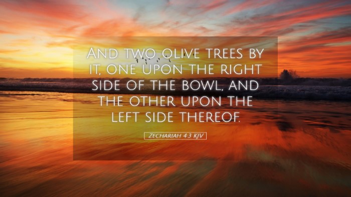 Picture 05 - Zechariah 4:3 KJV Desktop Wallpaper - And two olive trees by it, one upon the right - Desktop Bible Verse Wallpaper