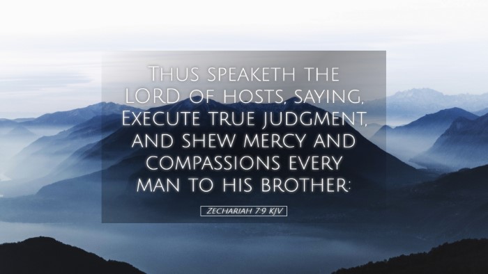 Picture 05 - Zechariah 7:9 KJV Desktop Wallpaper - Thus speaketh the LORD of hosts, saying, Execute - Desktop Bible Verse Wallpaper