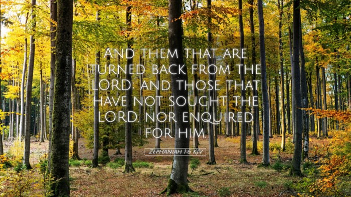 Picture 05 - Zephaniah 1:6 KJV Desktop Wallpaper - And them that are turned back from the LORD; and - Desktop Bible Verse Wallpaper