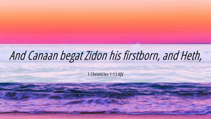 Picture 06 - 1 Chronicles 1:13 KJV Desktop Wallpaper - And Canaan begat Zidon his firstborn, and - Desktop Bible Verse Wallpaper
