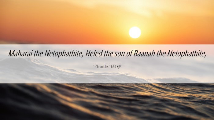 Picture 06 - 1 Chronicles 11:30 KJV Desktop Wallpaper - Maharai the Netophathite, Heled the son of Baanah - Desktop Bible Verse Wallpaper