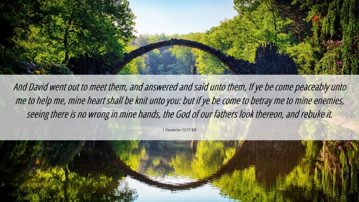 Picture 06 - 1 Chronicles 12:17 KJV Desktop Wallpaper - And David went out to meet them, and answered and - Desktop Bible Verse Wallpaper
