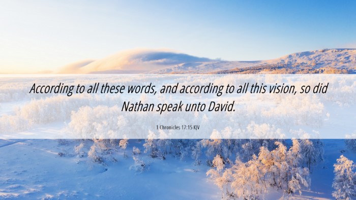 Picture 06 - 1 Chronicles 17:15 KJV Desktop Wallpaper - According to all these words, and according to - Desktop Bible Verse Wallpaper