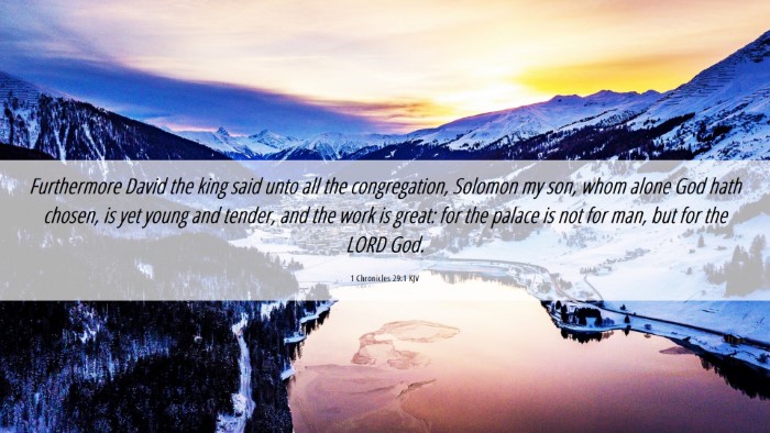 Picture 06 - 1 Chronicles 29:1 KJV Desktop Wallpaper - Furthermore David the king said unto all the - Desktop Bible Verse Wallpaper
