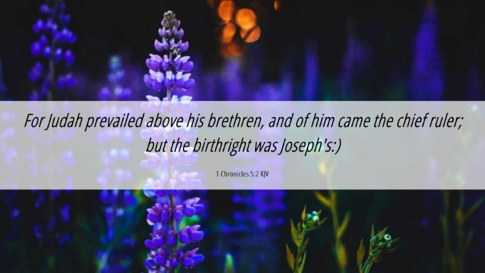 Picture 06 - 1 Chronicles 5:2 KJV Desktop Wallpaper - For Judah prevailed above his brethren, and of - Desktop Bible Verse Wallpaper