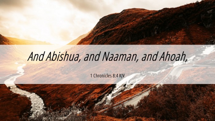 Picture 06 - 1 Chronicles 8:4 KJV Desktop Wallpaper - And Abishua, and Naaman, and - Desktop Bible Verse Wallpaper