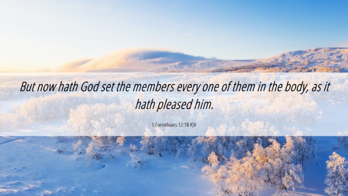Picture 06 - 1 Corinthians 12:18 KJV Desktop Wallpaper - But now hath God set the members every one of - Desktop Bible Verse Wallpaper