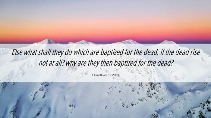 Picture 06 - 1 Corinthians 15:29 KJV Desktop Wallpaper - Else what shall they do which are baptized for - Desktop Bible Verse Wallpaper
