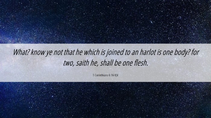 Picture 06 - 1 Corinthians 6:16 KJV Desktop Wallpaper - What? know ye not that he which is joined to an - Desktop Bible Verse Wallpaper
