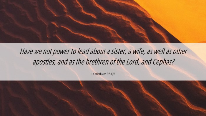 Picture 06 - 1 Corinthians 9:5 KJV Desktop Wallpaper - Have we not power to lead about a sister, a wife, - Desktop Bible Verse Wallpaper