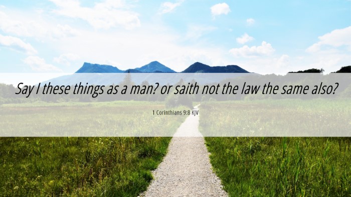 Picture 06 - 1 Corinthians 9:8 KJV Desktop Wallpaper - Say I these things as a man? or saith not the law - Desktop Bible Verse Wallpaper