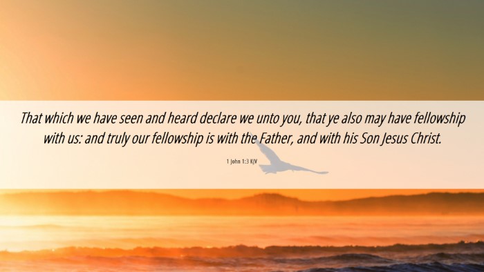 Picture 06 - 1 John 1:3 KJV Desktop Wallpaper - That which we have seen and heard declare we unto - Desktop Bible Verse Wallpaper
