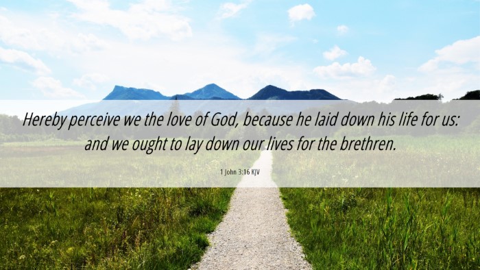 Picture 06 - 1 John 3:16 KJV Desktop Wallpaper - Hereby perceive we the love of God, because he - Desktop Bible Verse Wallpaper