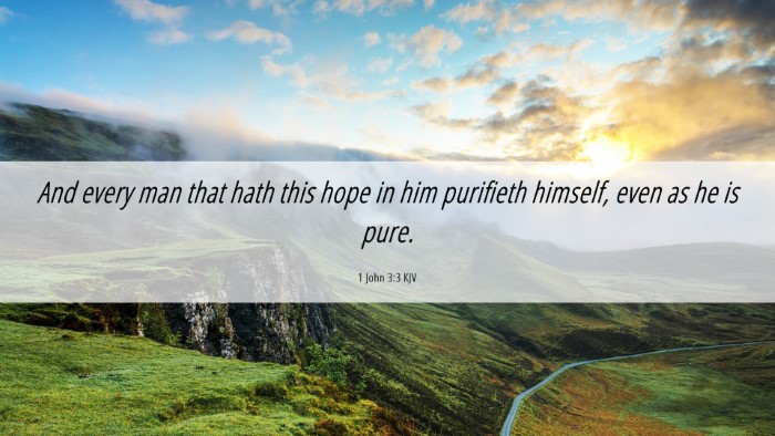 Picture 06 - 1 John 3:3 KJV Desktop Wallpaper - And every man that hath this hope in him - Desktop Bible Verse Wallpaper