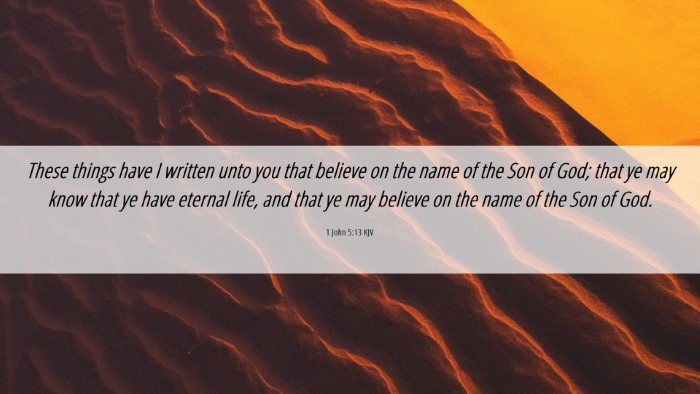 Picture 06 - 1 John 5:13 KJV Desktop Wallpaper - These things have I written unto you that believe - Desktop Bible Verse Wallpaper