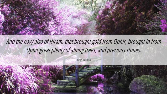 Picture 06 - 1 Kings 10:11 KJV Desktop Wallpaper - And the navy also of Hiram, that brought gold - Desktop Bible Verse Wallpaper