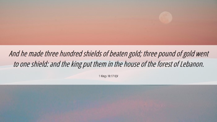Picture 06 - 1 Kings 10:17 KJV Desktop Wallpaper - And he made three hundred shields of beaten gold; - Desktop Bible Verse Wallpaper